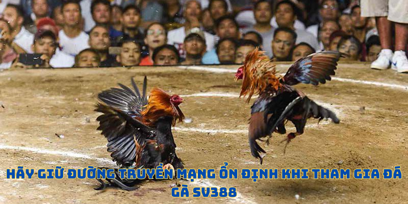 Nên chuẩn bị internet ổn định xuyên suốt quá trình giải trí 