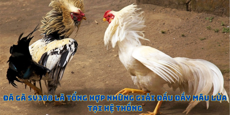 Ngôn ngữ tiếng Việt giúp player thuận tiện tham gia