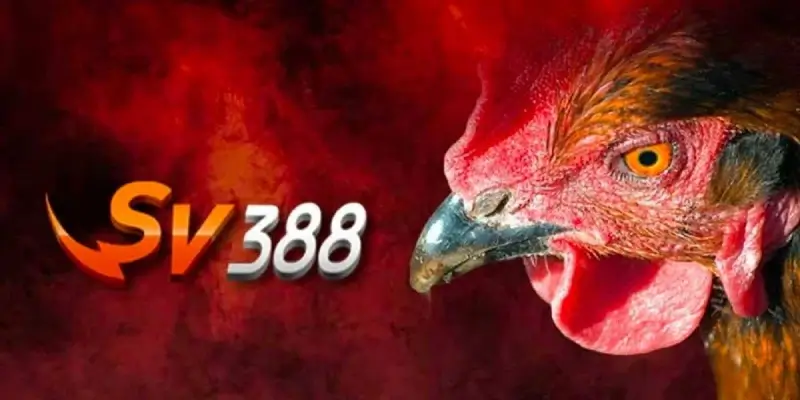 Sảnh SV388