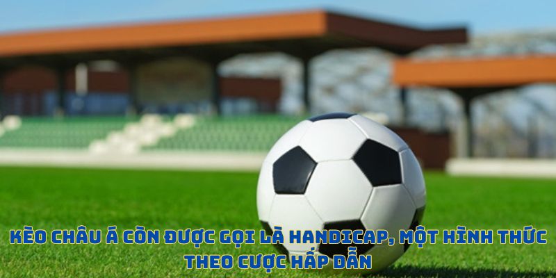 Dạng đặt cược này thu về lượt truy cập khủng 