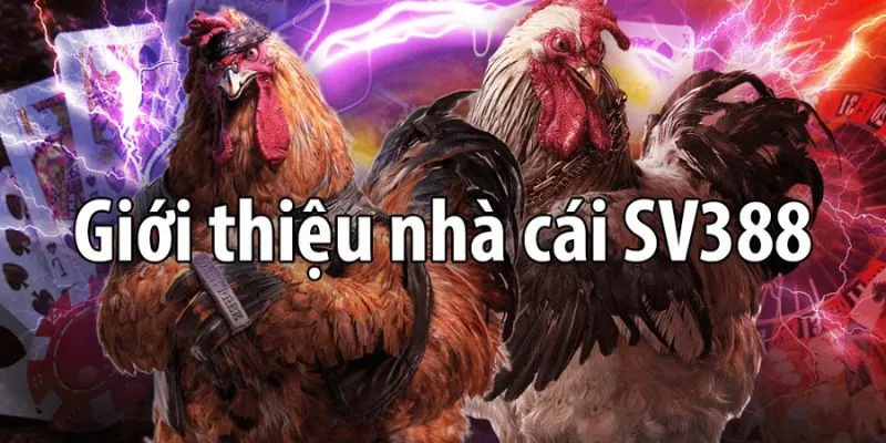 Những lợi ích vượt trội khi bạn tham gia đặt cược tại nhà cái