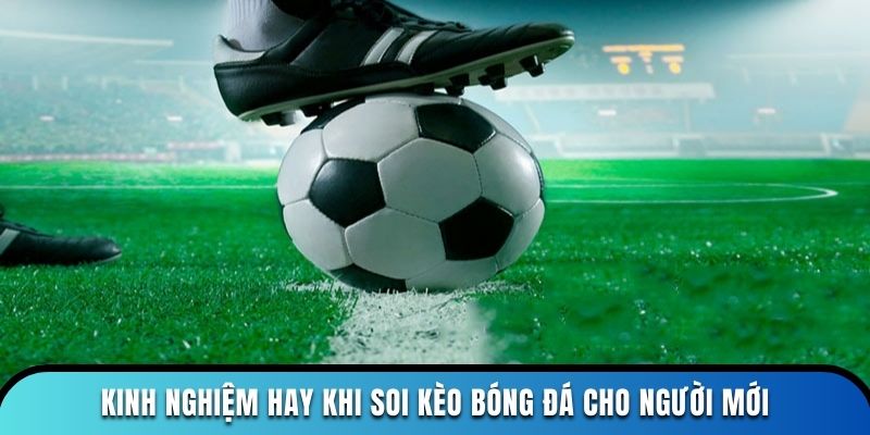 Kinh nghiệm hay khi soi kèo bóng đá cho người mới