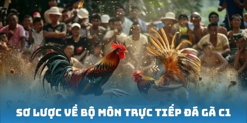 Sơ lược về bộ môn trực tiếp đá gà C1
