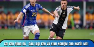 Soi kèo bóng đá